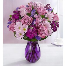 LAVENDER & PURPLE (Deluxe) LAVENDER & PURPLE (Deluxe)